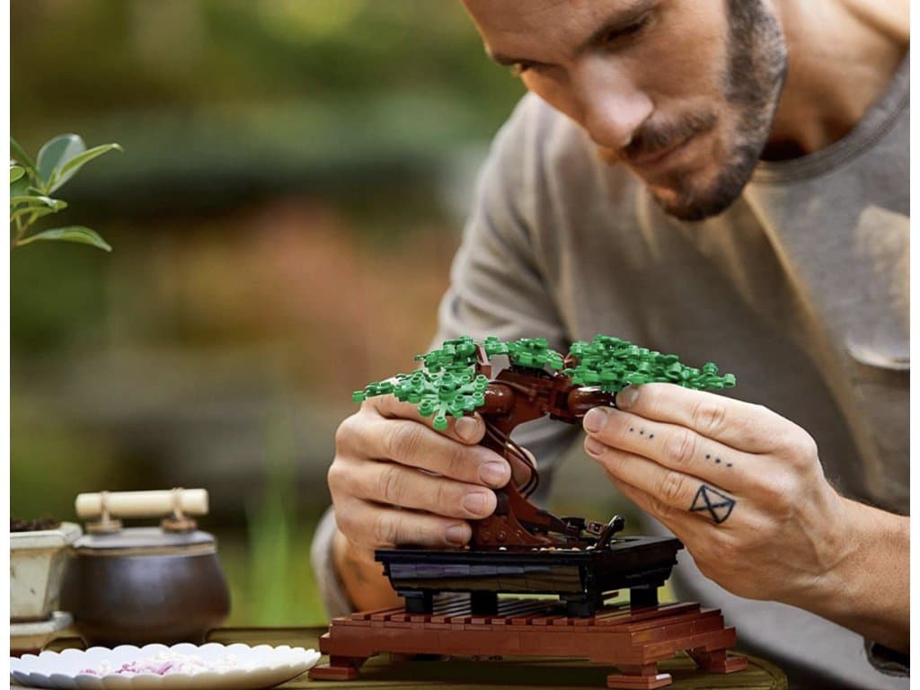 Lego 10281 Creator Expert „Bonsai strom“