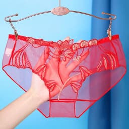 Sexy krajkové kalhotky, síťované duté květinové výšivky s nízkým pasem, průhledné dámské spodní prádlo, ultra tenké bezešvé spodní prádlo - náhled 3