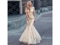 3068_Luxusn__Plesov__ve_ern___aty__Style__MAIN