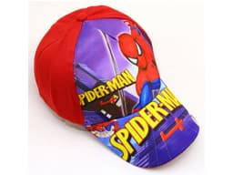 1674_D_tsk__K_iltovka_Spiderman_2