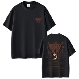 Vintage Hip Hop tričko Breezy Bowl XX Tour 2025 - unisex bavlněné tričko pro muže a ženy - náhled 4