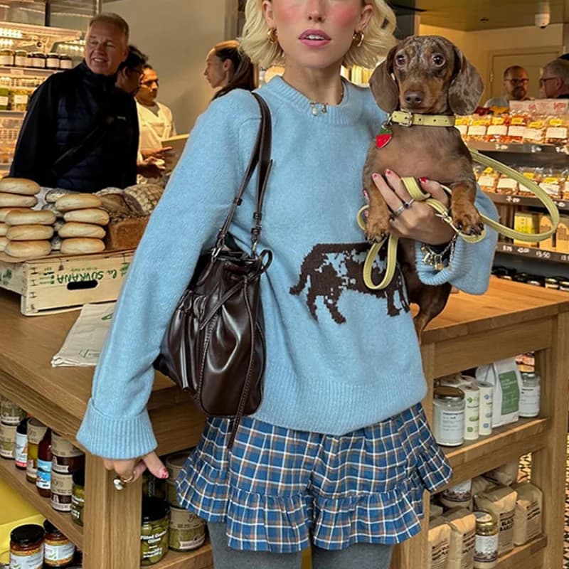 Dámský pletený svetr Y2K styl roztomilý štěňák výšivka módní podzimní top